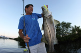 42 INCH SNOOK
